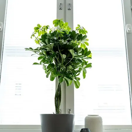Hvc Apartments Toeoeloenkatu 15 شقة *